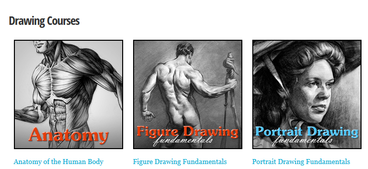 proko figure drawing fundamentals course uploaded